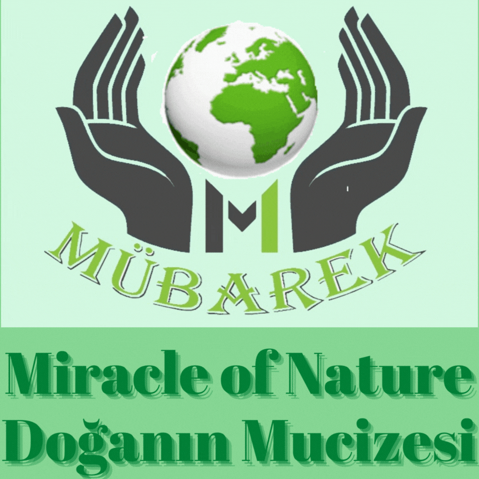 MÜBAREK COMPANY LOGO